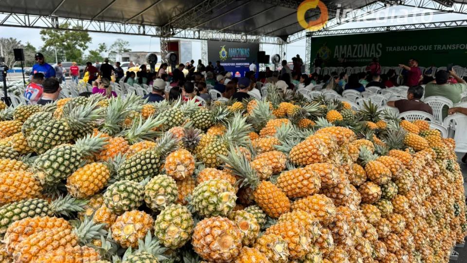 Governador Wilson Lima participa de entrega de alimentos do Programa de Aquisição de Alimentos (PAA)