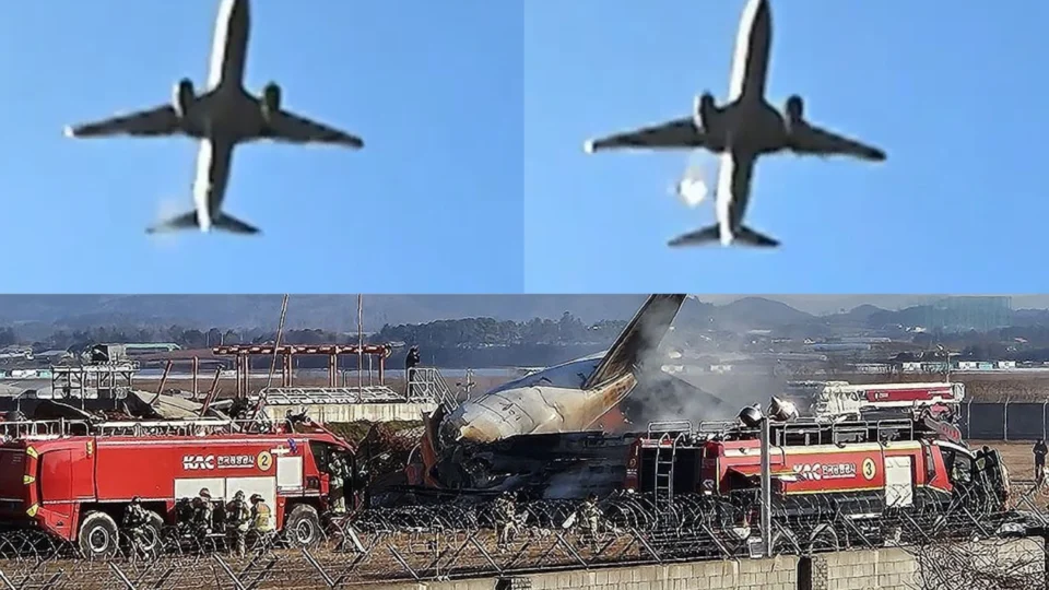 Vídeo: Incêndio no motor precede queda de avião que matou 179 pessoas na Coreia do Sul