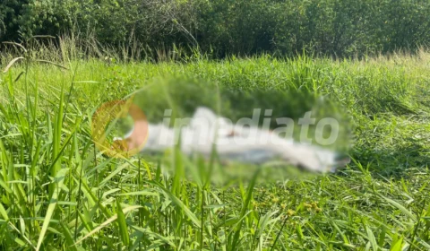 Vídeo: Motociclista morre após perder controle de moto em avenida do Nova Cidade