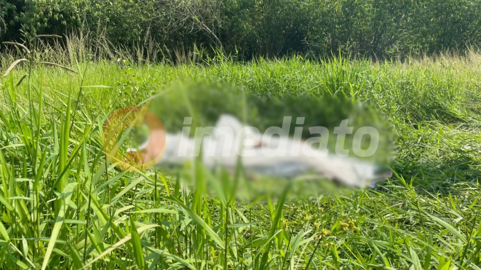 Vídeo: Motociclista morre após perder controle de moto em avenida do Nova Cidade