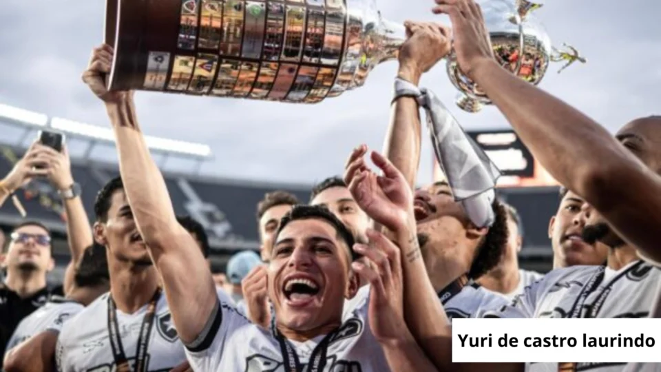 Descubra o valor milionário que o Botafogo faturou ao conquistar a Libertadores