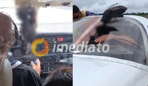 VEJA VÍDEO: urubu fica pendurado em janela de avião no Amazonas
