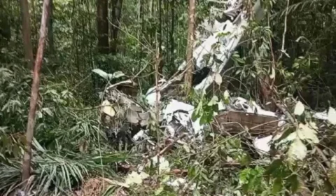 FAB localiza destroços de avião desaparecido em Manicoré