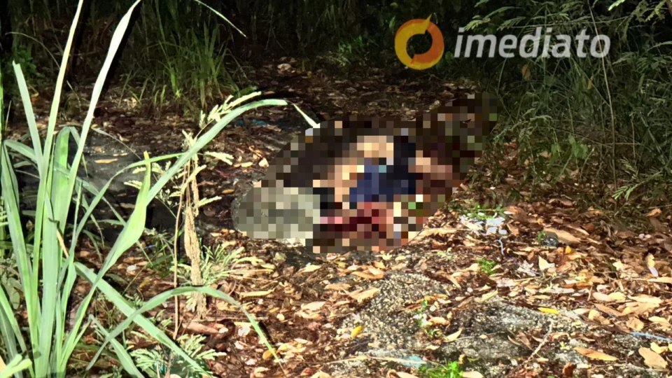 Homem é torturado e morto com pedradas na cabeça no bairro Adrianópolis