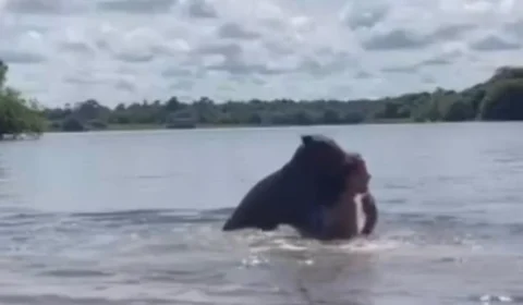 VEJA VÍDEO: jovem se desespera ao ser atacada por capivara durante banho
