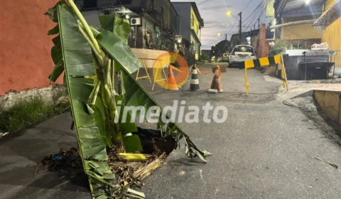 Moradores plantam pé de banana em buraco na rua para protestar no bairro São Francisco