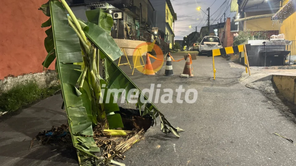 Moradores plantam pé de banana em buraco na rua para protestar no bairro São Francisco