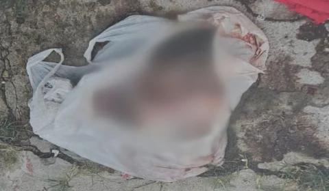 Polícia busca informações sobre responsável por abandono de fet0 na Zona Norte de Manaus