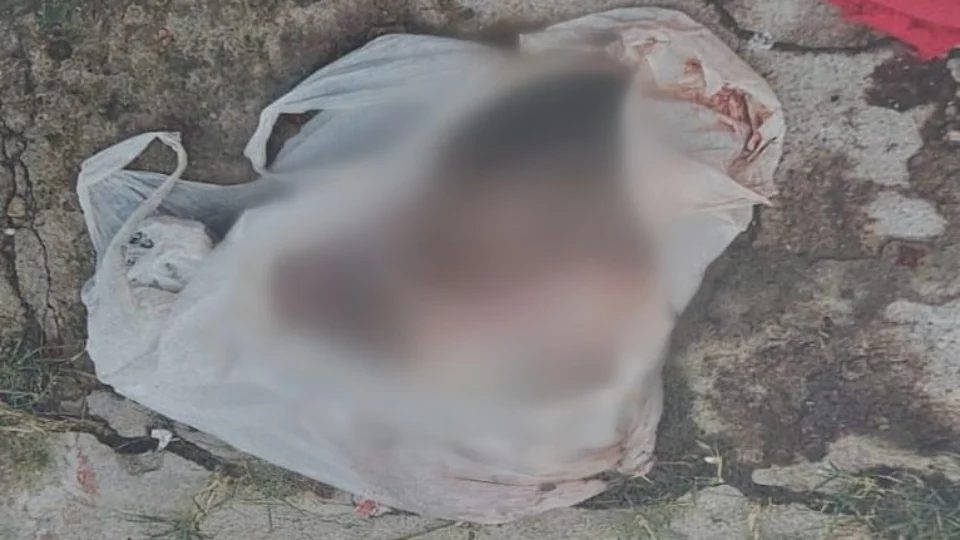 Polícia busca informações sobre responsável por abandono de fet0 na Zona Norte de Manaus