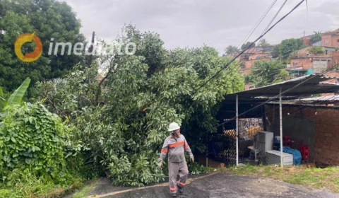 Árvore cai e derruba fiação elétrica deixando casas sem energia no bairro Alfredo Nascimento