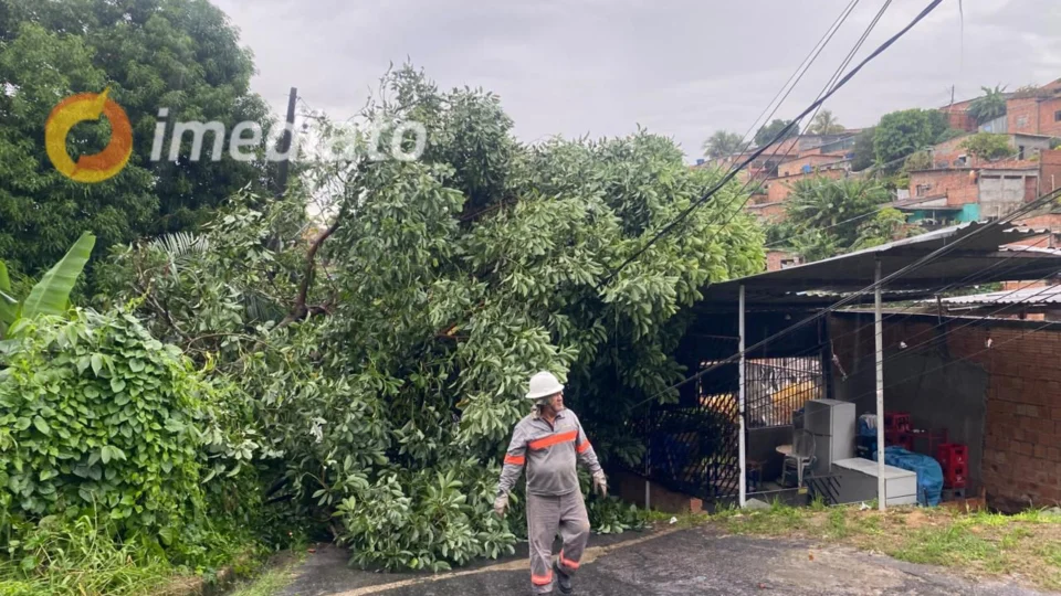 Árvore cai e derruba fiação elétrica deixando casas sem energia no bairro Alfredo Nascimento