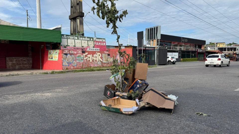 Moradores do Parque 10 decoram buraco em via para evitar acidentes