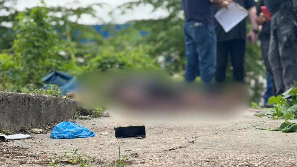 Homem é encontrado morto com sinais de tortura em terreno abandonado; imagens