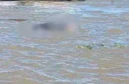 Corpo é encontrado boiando no Rio Solimões, em Manacapuru