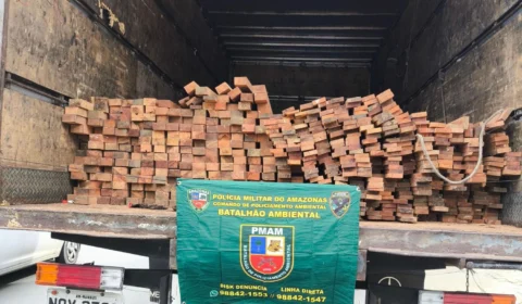 Dupla é presa por crime ambiental em Manaus