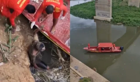 Homem pula de ponte no Educandos e é resgatado com vida pelos Bombeiros