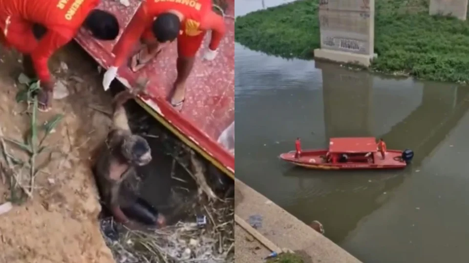 Homem pula de ponte no Educandos e é resgatado com vida pelos Bombeiros