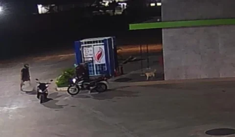Fotógrafo é preso após ser flagrado agredindo cachorra em posto de gasolina em Manaus