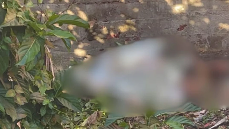 Homem é assassinado a tiros no Nova Floresta