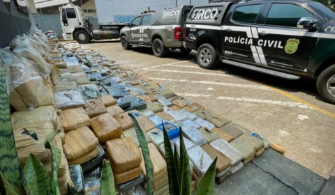 Amazonas registra recorde histórico de apreensão de drogas em 2024