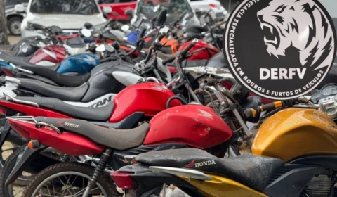 DERFV recupera 246 veículos roubados e furtados em 2024 em Manaus