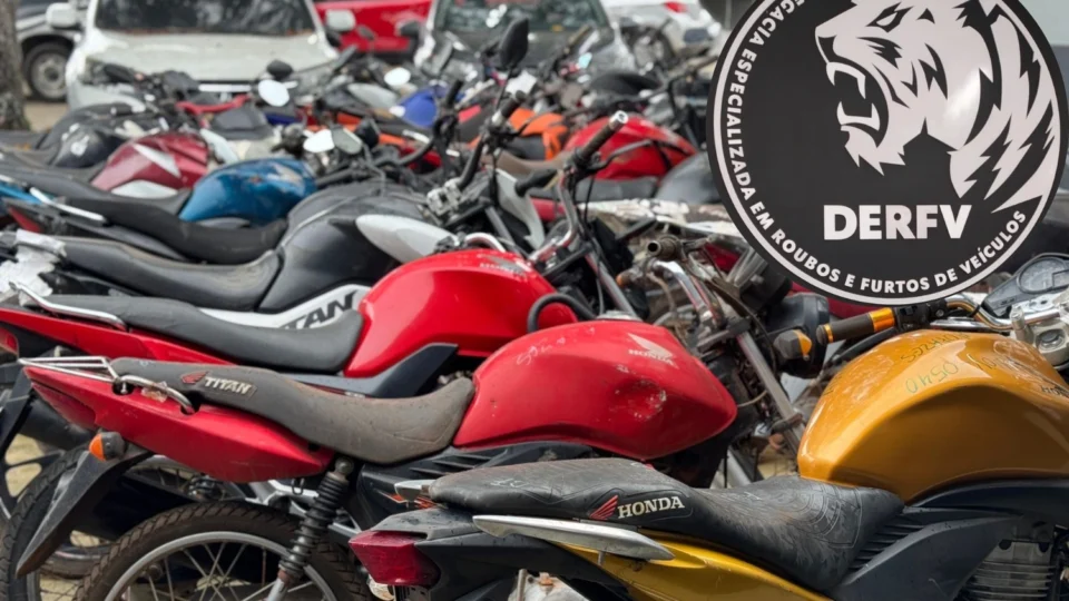 DERFV recupera 246 veículos roubados e furtados em 2024 em Manaus