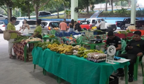 Feira de alimentos agroecológicos da REMA anuncia mudança de local