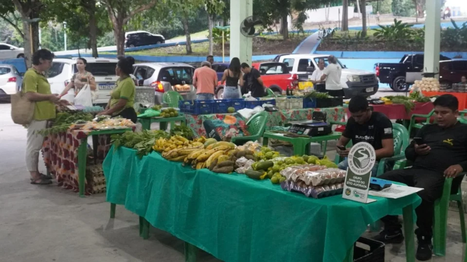 Feira de alimentos agroecológicos da REMA anuncia mudança de local