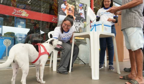 Campanha antirrábica: confira 37 pontos fixos para vacinar animais em Manaus