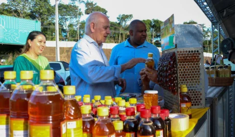 Lei fortalece a bioeconomia e impulsiona o desenvolvimento sustentável no Amazonas