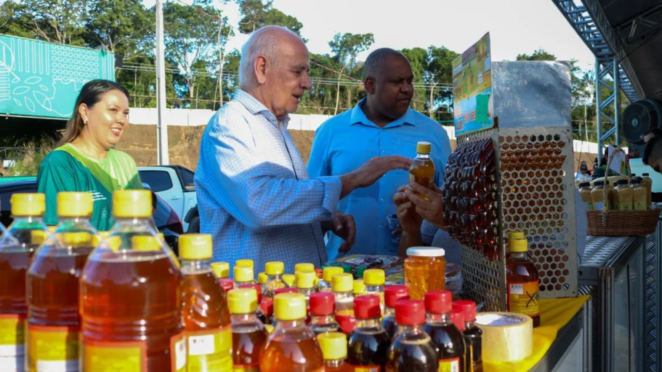 Lei fortalece a bioeconomia e impulsiona o desenvolvimento sustentável no Amazonas