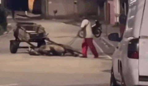 VEJA VÍDEO: cavalo exausto é chicoteado por carroceiro mesmo caído no chão