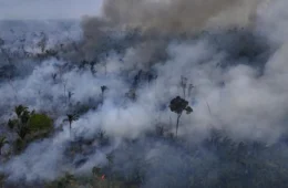 Brasil registra recorde de queimadas em 2024