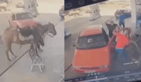 VEJA VÍDEO: motorista atropela cavalo e ataca homem com facadas em posto de combustível 