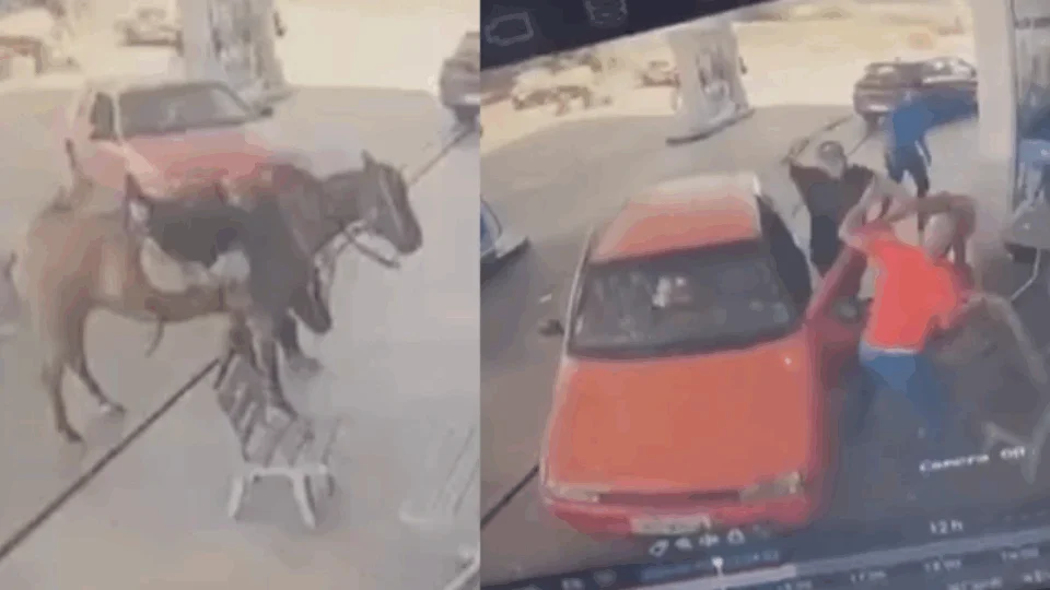VEJA VÍDEO: motorista atropela cavalo e ataca homem com facadas em posto de combustível 