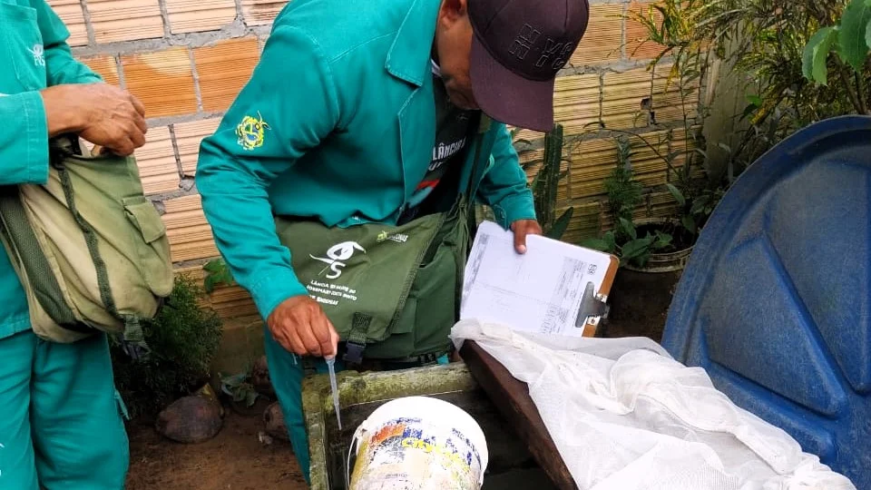 Amazonas registra 502 casos de dengue e 12 de chikungunya, aponta boletim