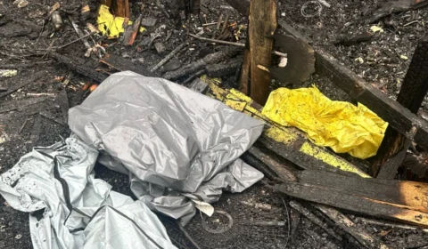 Cachorros morrem carbonizados em incêndio que vitimou mãe e filho