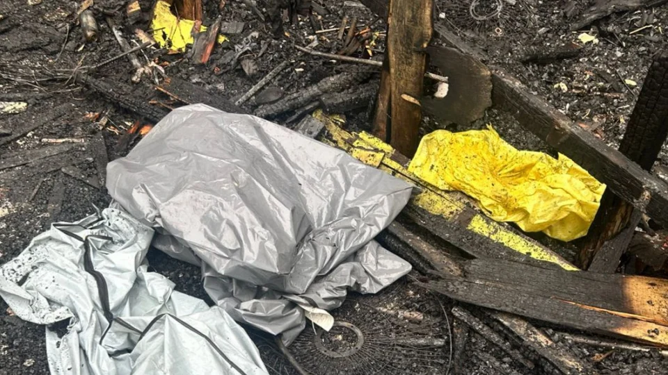 Cachorros morrem carbonizados em incêndio que vitimou mãe e filho