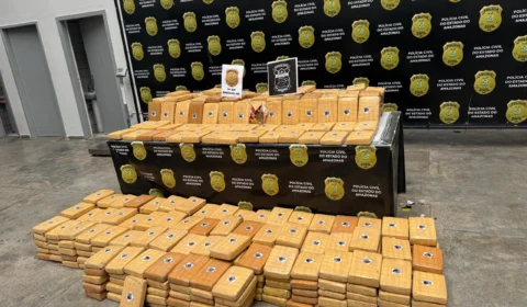 Polícia apreende meia tonelada de skunk avaliada em R$ 10 milhões em Barcelos
