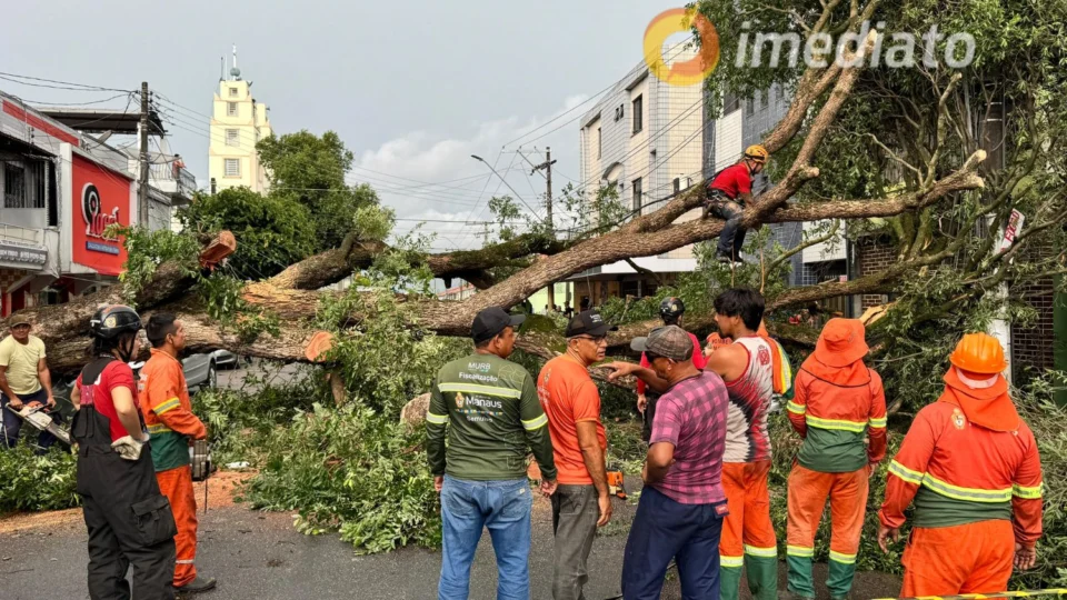 Árvore cai após forte chuva e deixa via interditada na Praça 14 de Janeiro