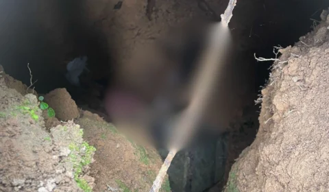 Homem é preso em flagrante por matar seis gatos e esconder corpos em fossa, em Autazes