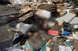 Vídeo: Corpo de homem é encontrado desmembrado dentro de sacos no Gilberto Mestrinho