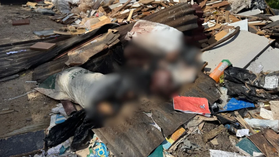 Vídeo: Corpo de homem é encontrado desmembrado dentro de sacos no Gilberto Mestrinho