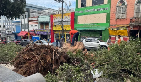 Queda de árvores na Praça dos Remédios causa prejuízos a comerciantes no Centro