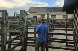 Abatedouro é interditado por irregularidades no interior do Amazonas