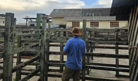 Abatedouro é interditado por irregularidades no interior do Amazonas