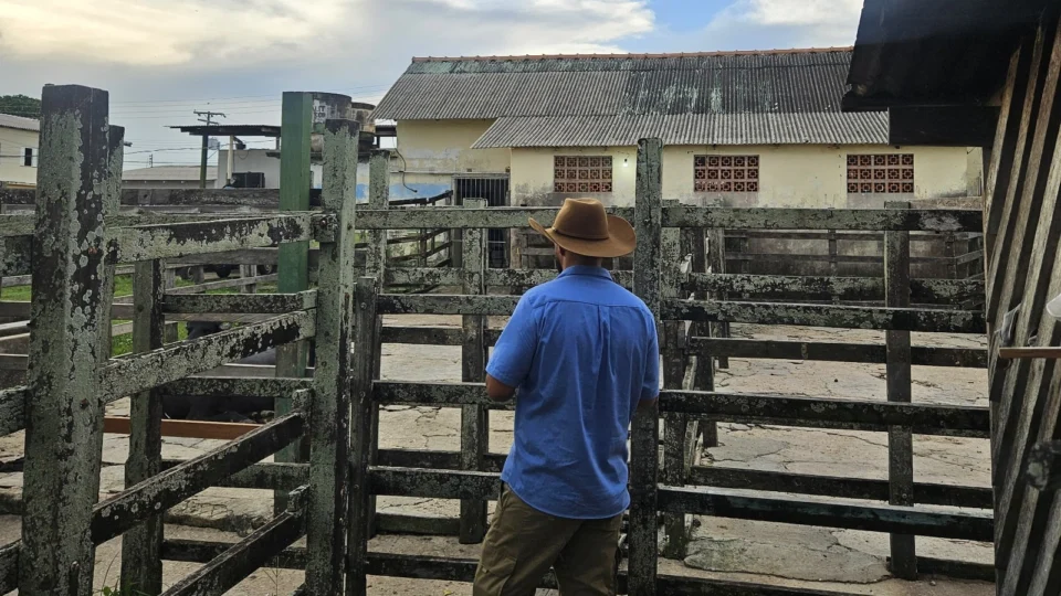Abatedouro é interditado por irregularidades no interior do Amazonas