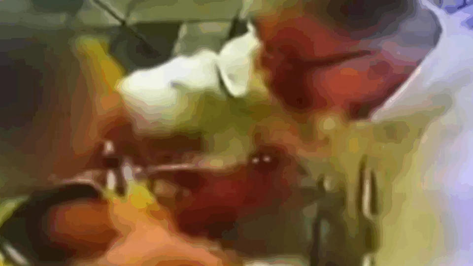 VEJA VÍDEO: diretor de escola infantil é filmado agredindo menino de 4 anos