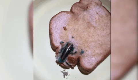 Mulher encontra bala de fuzil dentro de pão de forma