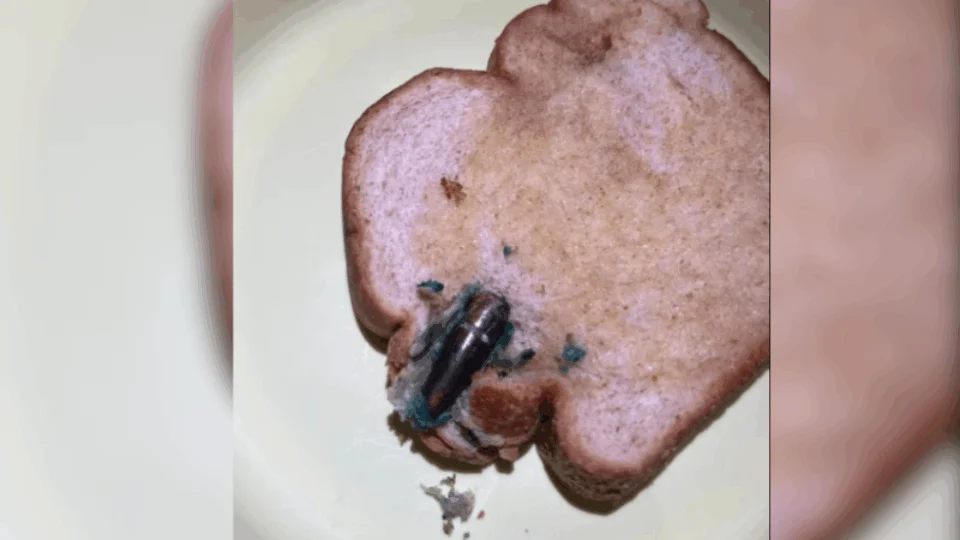 Mulher encontra bala de fuzil dentro de pão de forma